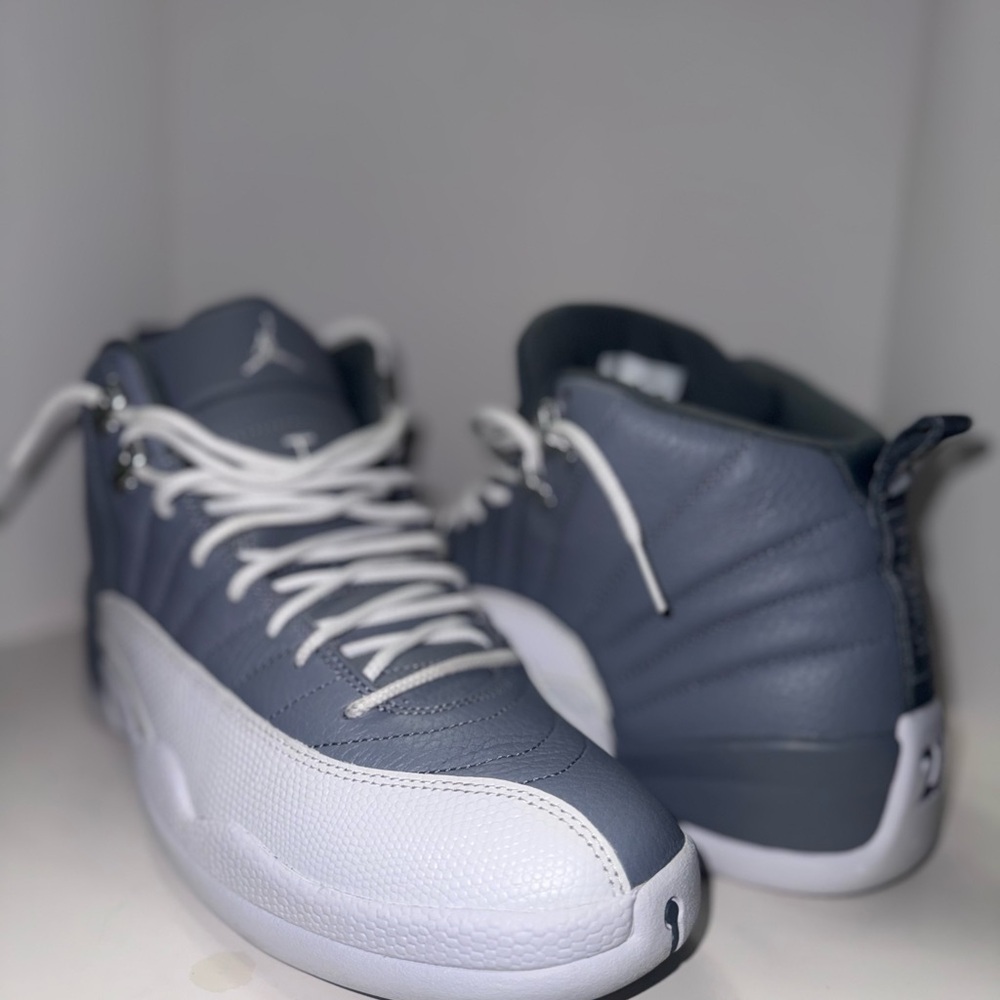 Jordan 12 “Stealth”